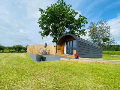 a small house with a black roof on a grass field at Cleugh Lodge in Lockerbie