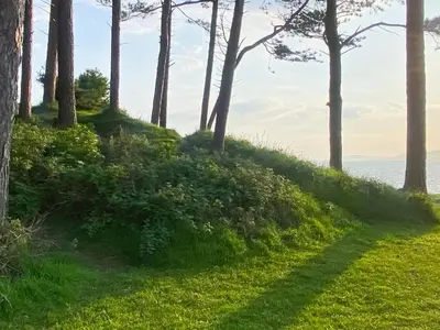 a path in the grass with trees on a hill at The Court House - Uk43908 in Silloth