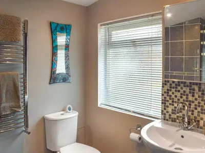 a bathroom with a toilet and a sink and a window at Winlocke Cottage in Leadhills