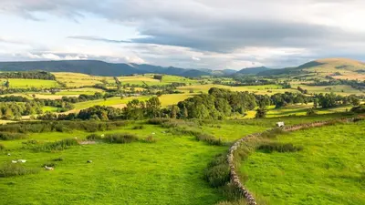 a field of green grass with trees and a fence at Ruecroft, Penruddock an Eco & dog friendly lodge with a hot tub, 10 minutes from Lake Ullswater in Penruddock