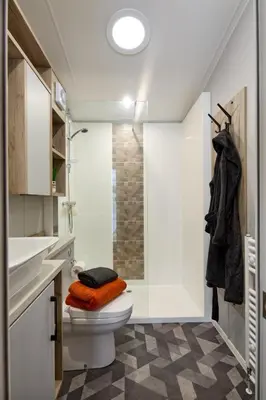 a bathroom with a toilet and a shower at Elite Holiday Caravan in Bassenthwaite