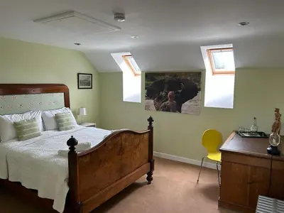 a bedroom with a bed with skylights in it at The Wickerman Granary in Kirkcudbright