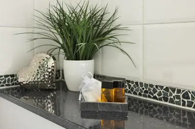 a counter with a potted plant and a bottle of perfume at Bellfoot Rural Retreat and Hot Tub in Grasmere