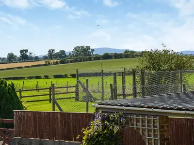a fence and a field with a giraffe at Rivendell in Burgh by Sands