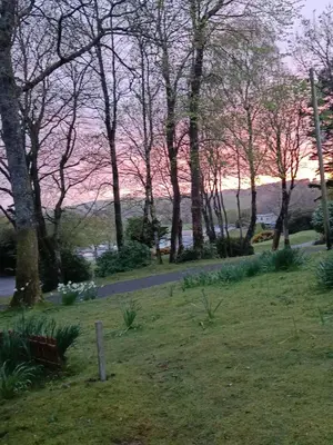 a view of the sunset from a park with trees at The Sunny Bunny Holiday Home in Ballantrae
