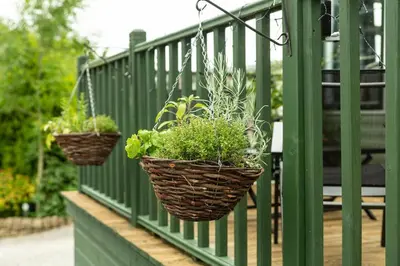 two baskets with plants hanging on a green fence at Treetops in Lamplugh