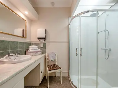 a bathroom with a shower and a sink at Halls Bank Farm in Plumbland