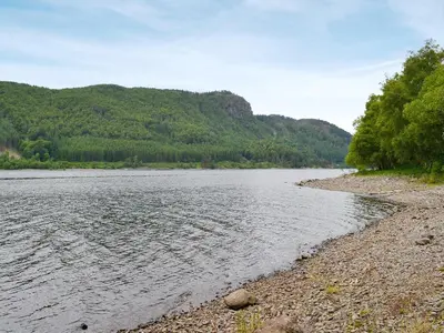 a body of water with trees and a rocky shore at The Coach House in Thirlmere