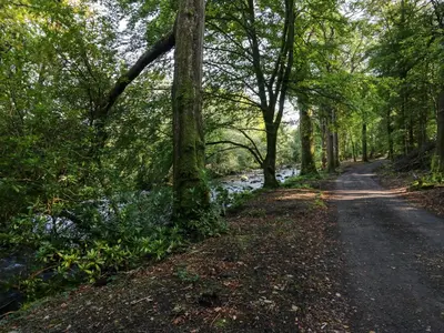 a dirt road through a forest next to a river at Dalegarth Hall Farm Cottage 2 in Holmrook