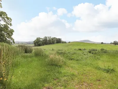 a field of grass with trees and mountains in the background at Brow Wood Cabin in Penrith