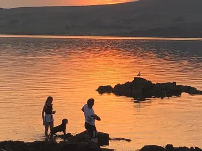 two people and a dog on the shore of a body of water at The Vital Spark in Gatehouse of Fleet