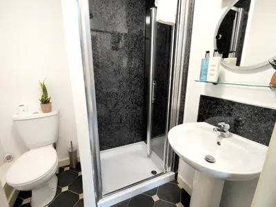 a bathroom with a toilet and a sink and a shower at The Paddock in Keswick