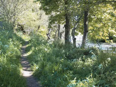 a path through the grass next to a river at Burnfoot Of Cluden in Holywood