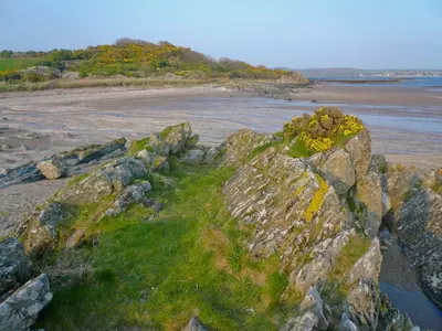 a group of rocks with flowers on top of it at Little Boreland in Gatehouse of Fleet
