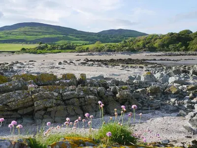 a person standing on a rocky beach with pink flowers at Little Boreland in Gatehouse of Fleet