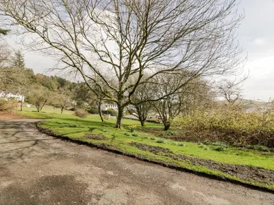 a tree on the side of a road at Saltflats Cottage - Rockcliffe in Dalbeattie