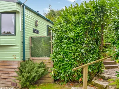 a green caravan next to a large bush at The Beachcomber in Palnackie