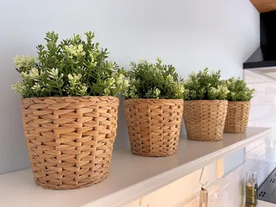 four baskets sitting on a counter with plants in them at Spectacular 7BR House Hot Tub and Gardens in Gretna - Pass the Keys in Gretna Green