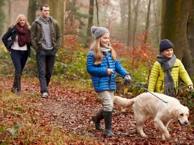 a family walking a dog in the woods at Gorgeous Kippford Home With Outstanding Views - Pass the Keys in Kippford