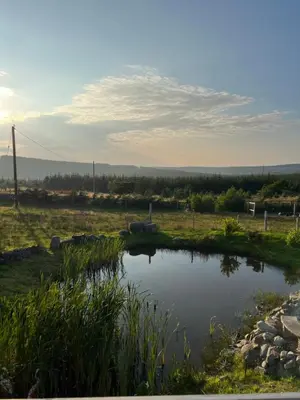 a small pond in the middle of a field at Maneight Luxury Lodge with hot tub in New Cumnock