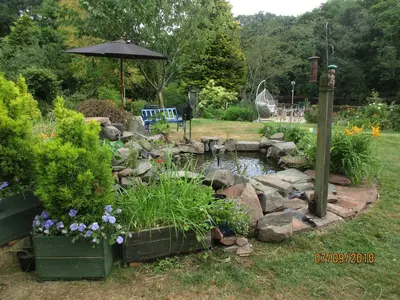a garden with a pond and an umbrella at The Haven B&B in Castle Douglas