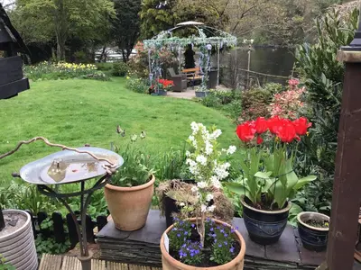 a garden with pots of flowers and a pond at The Haven B&B in Castle Douglas