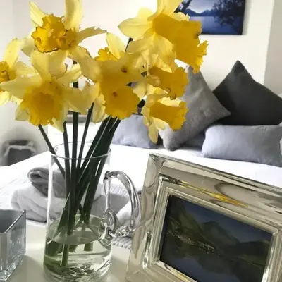 Roses Cottage cosy countryside home with open fire and mountain views near Scafell