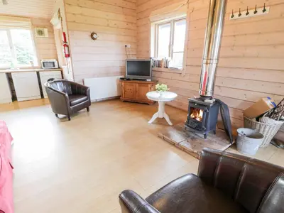 a living room with a woodburning stove in a cabin at Curlew Lodge in Dumfries
