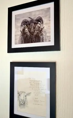 two framed pictures of a ram and a handwritten note at Lagavulin 3 in Portpatrick