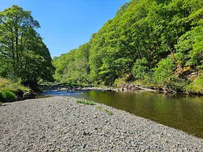 a river with a rocky shore next to a forest at Dogwood Timber Lodge in Keswick