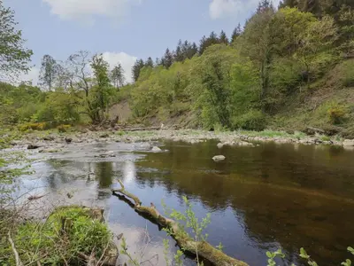 a river with a log in the water at Elm Lodge in Keswick