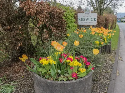 a bunch of flowers in a pot next to a sign at Pod No 6 in Keswick