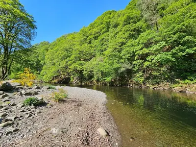a river with rocks and trees on the side at Pod No 28 in Keswick