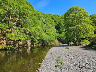 a river with a rocky shoreline next to trees at Greta House in Keswick