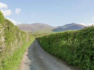 a dirt road in a field with mountains in the background at Briery House in Keswick