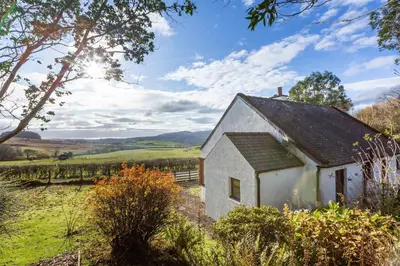 an old white cottage in a field with trees at Laghead Cottage in Gatehouse of Fleet