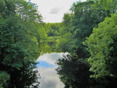 a view of a river between two trees at Laghead Cottage in Gatehouse of Fleet