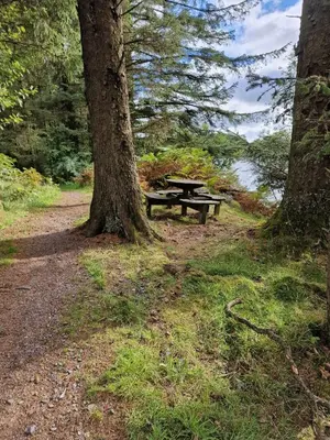a picnic table sitting next to two trees at Loch's Heaven 67 in Kirkcowan