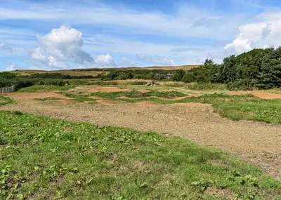 a dirt road in a field with grass and trees at Brighouse Bay Holiday Park in Kirkcudbright