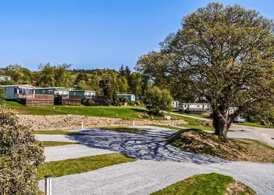 a walkway with a tree in a park at Kippford View Holiday Park in Castle Douglas