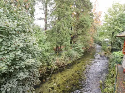 a stream with trees and bushes next to a river at Riverbank in Ambleside