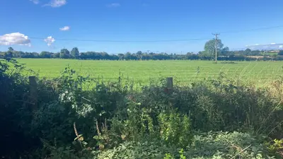 a field with a fence and a green field at Lake District Solway View 16 The Beeches Caravan Park in Gilcrux