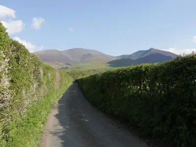 a dirt road in a field with mountains in the background at Apartment 1 in Keswick