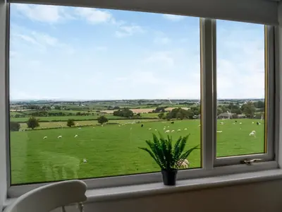a window with a view of a field of sheep at Muirston Farmhouse - Uk44977 in Ayr