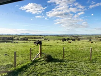 a horse standing in a field behind a fence at Muirston Farmhouse - Uk44977 in Ayr