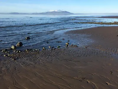a group of birds standing in the water on a beach at 2 Bed in Cockermouth 85514 in Cockermouth