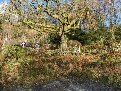 a tree in the middle of a field with a fence at Tarn Cottage in Grasmere