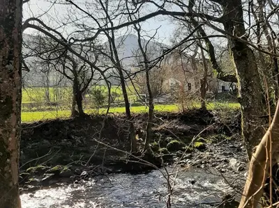a group of trees and a stream in a field at 1 bed property in Keswick 86117 in Braithwaite
