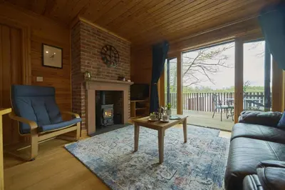a living room with a couch and a chair and a fireplace at Chiffchaff Lodge with Hot tub in Carlisle