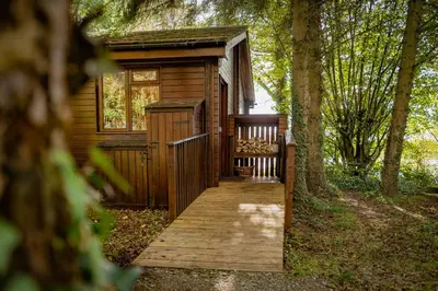 a wooden ramp leading to a cabin in the woods at Chiffchaff Lodge with Hot tub in Carlisle